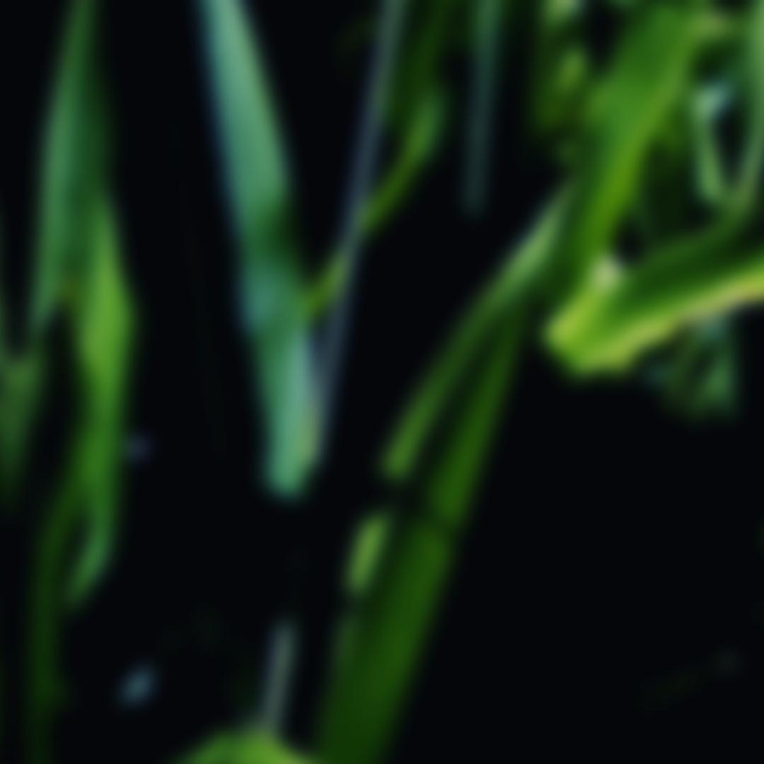 Caithy Organics @ SEE - ECO-day, Shanghai - China